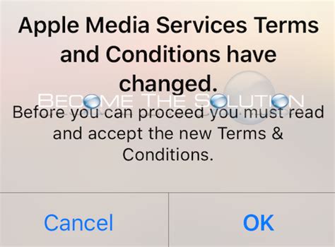apple media services phone number